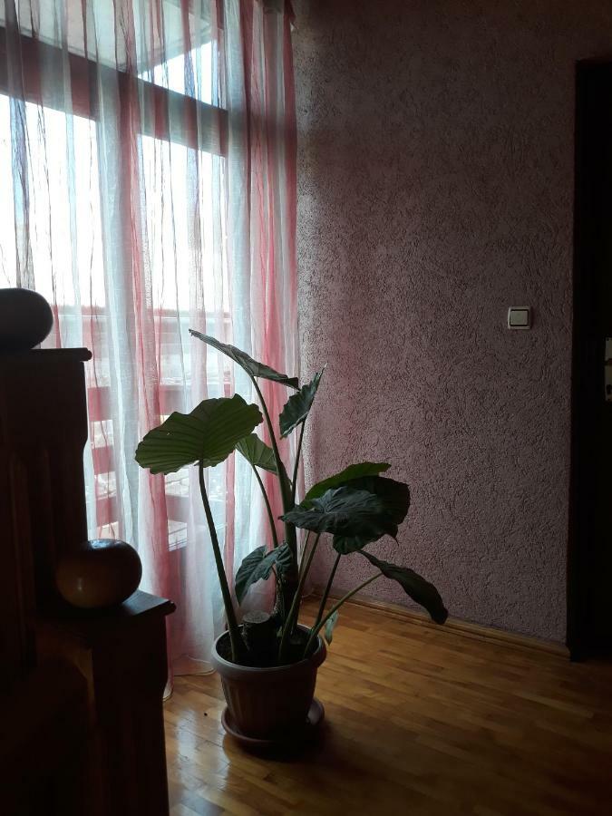Apartman Luka Ogulin Exterior photo